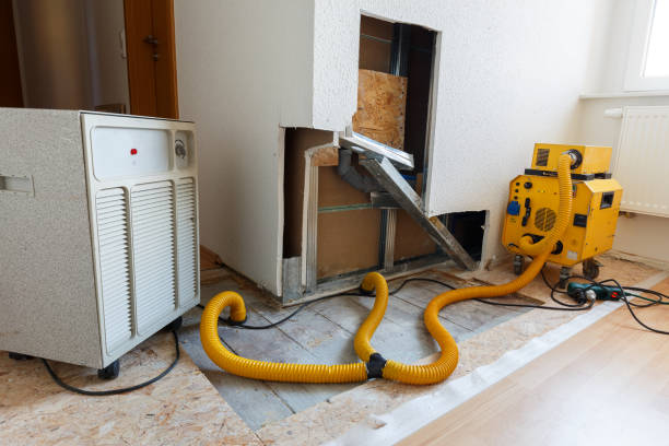 Environmental Consulting for Mold Prevention in East Honolulu, HI